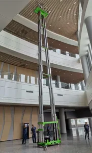 double mast vertical lift application (1)