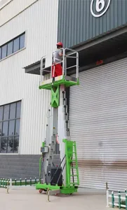 double mast vertical lift application (3)