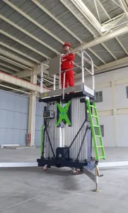 double mast vertical lift application (4)
